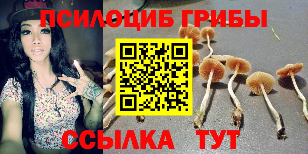 Кандалакша  Псилоцибиновые грибы ЛСД  Вход с VPN 