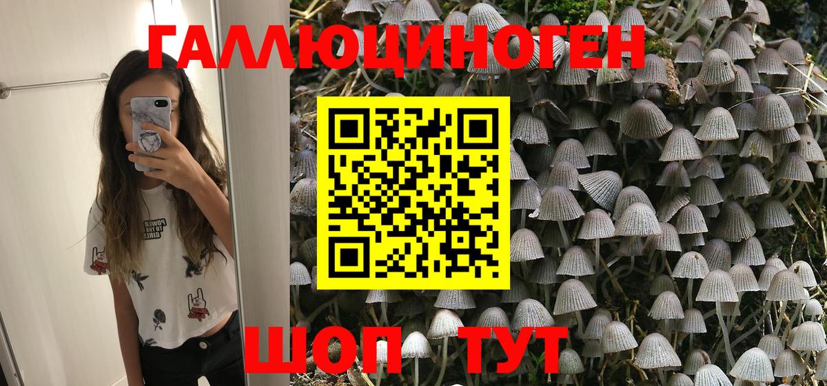 Галлюциногенные грибы MAGIC MUSHROOMS Кандалакша